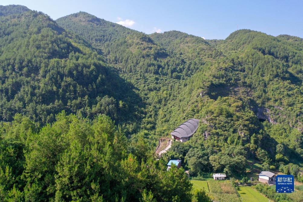 巴黎人登录网址